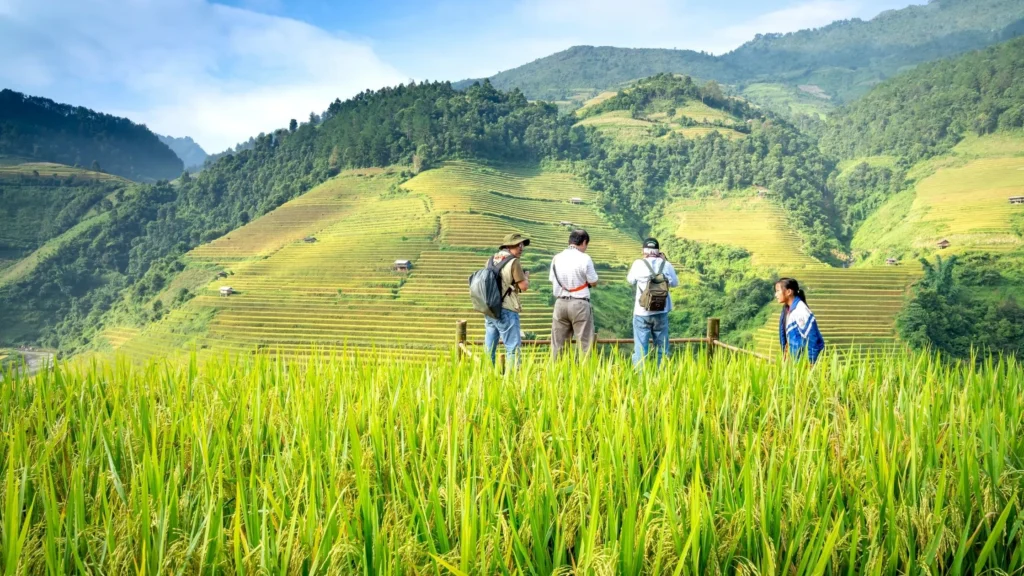 Group of people studying lush terraced fields—CNC machining in advanced agricultural equipment and precision farming technologies